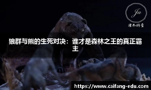 狼群与熊的生死对决：谁才是森林之王的真正霸主